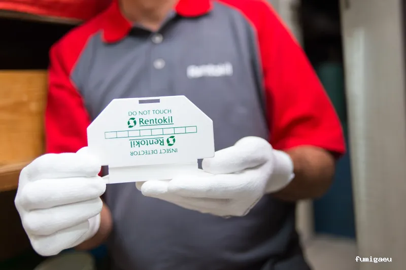 Rentokil Control de Plagas en Valladolid