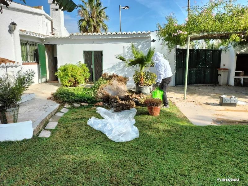Tratecval - Fumigación y Control de Plagas Valencia
