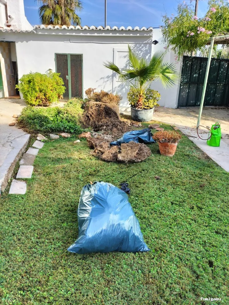 Tratecval - Fumigación y Control de Plagas Valencia