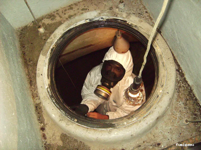 Tratecval - Fumigación y Control de Plagas Valencia