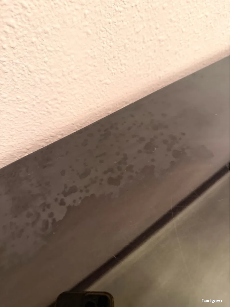 EZSA Sanidad Ambiental - Expertos en Control de Plagas