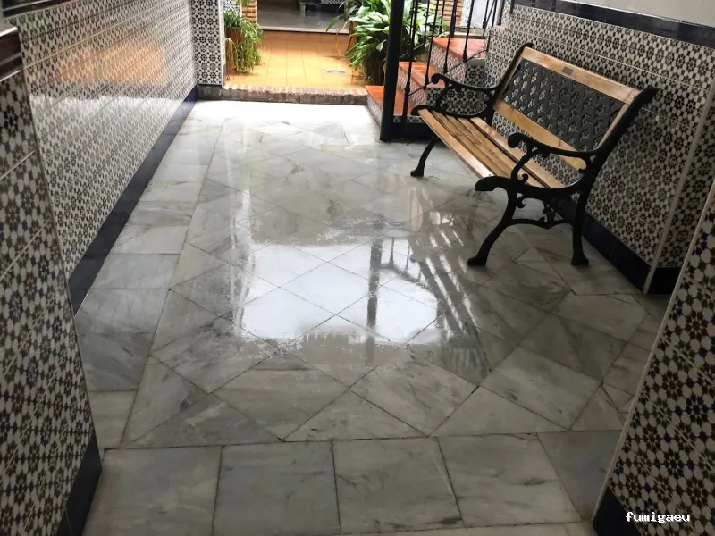 Gimasur - Control de Plagas y Legionella en Granada