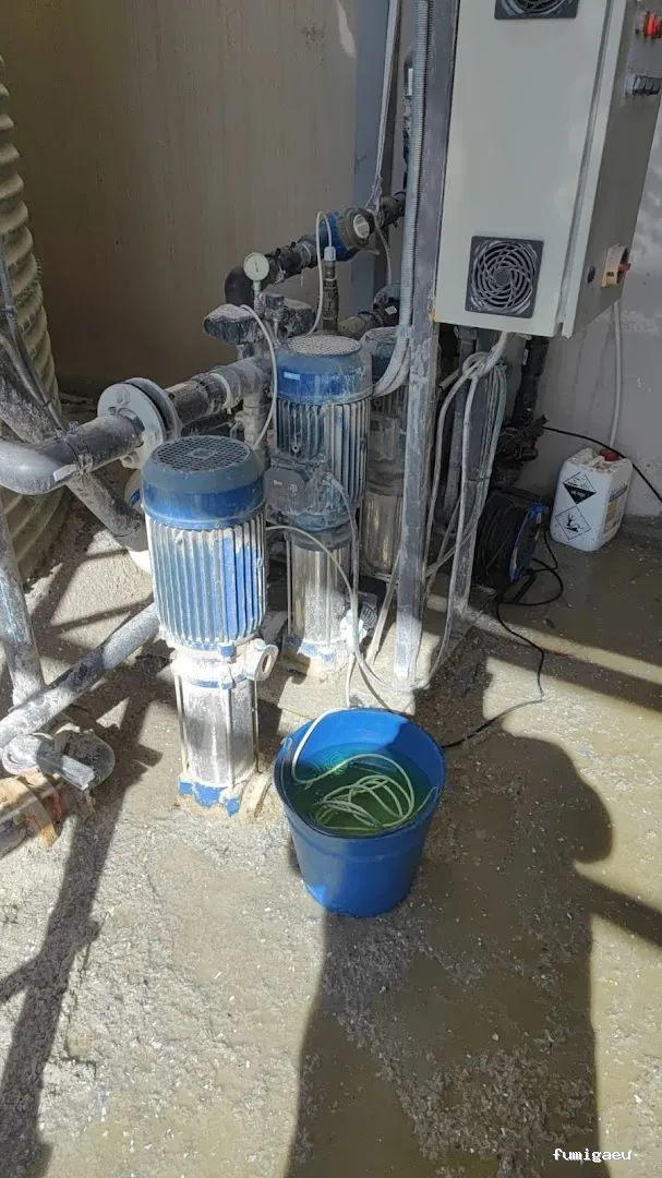 Gimasur - Control de Plagas y Legionella en Granada