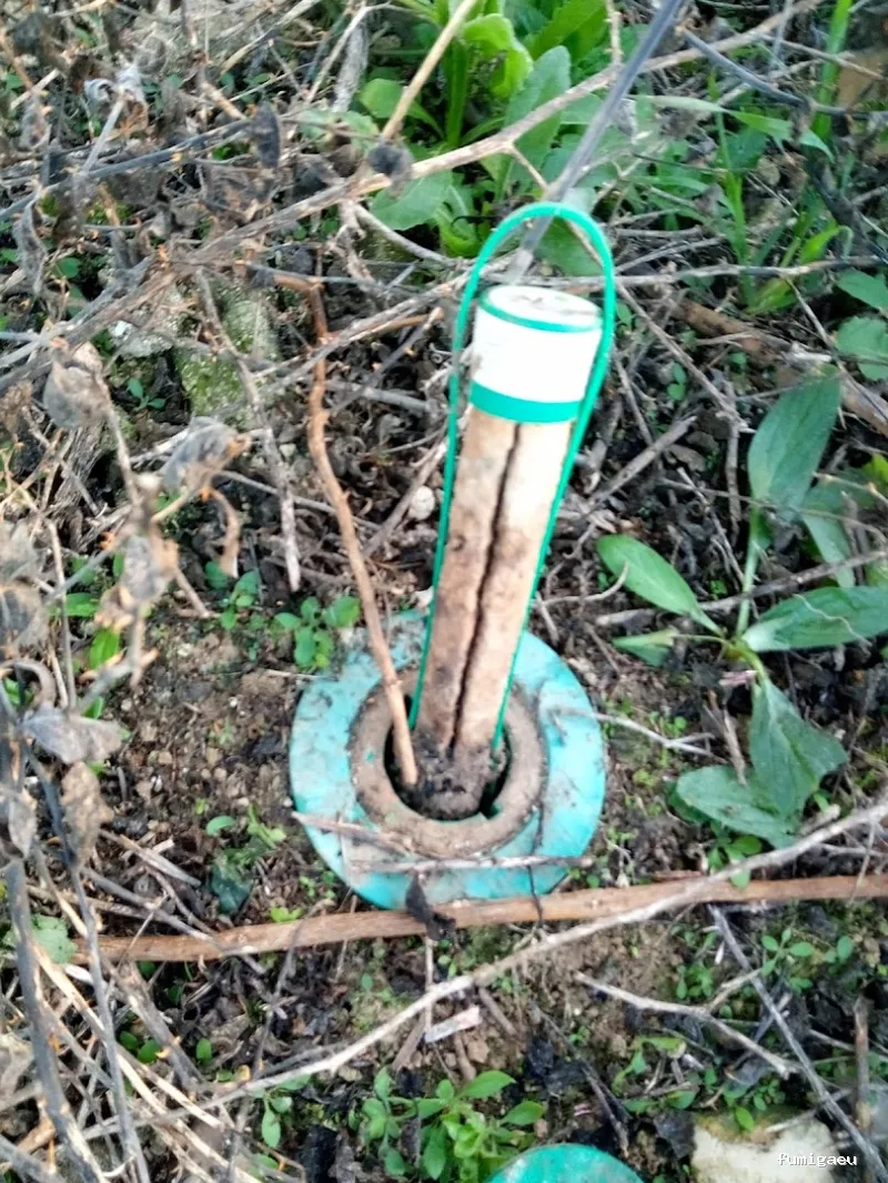 Gimasur - Control de Plagas y Legionella en Granada