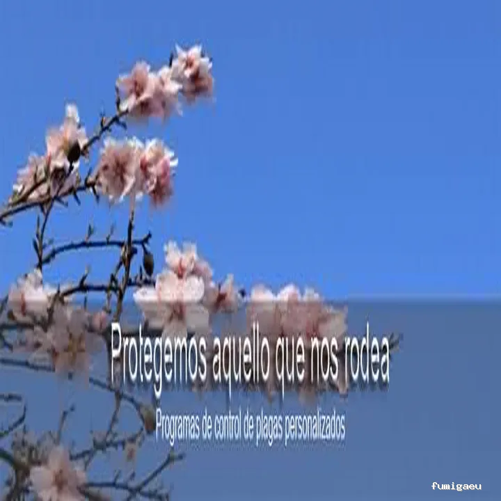 3D Control de plagas Valencia