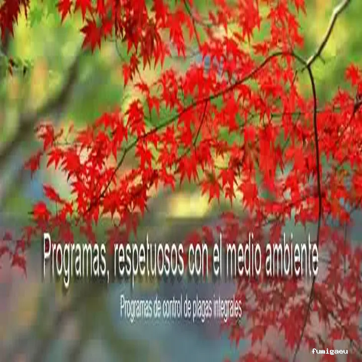 3D Control de plagas Valencia