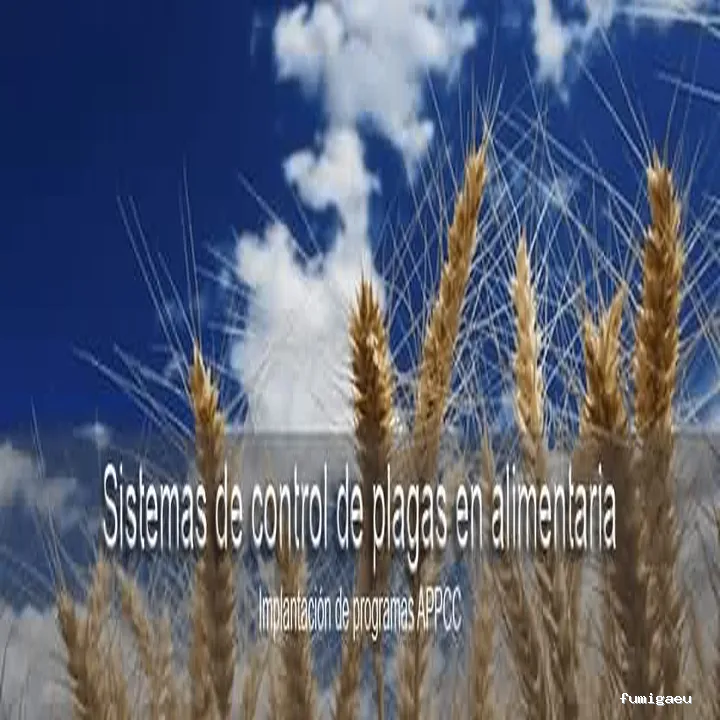 3D Control de plagas Valencia