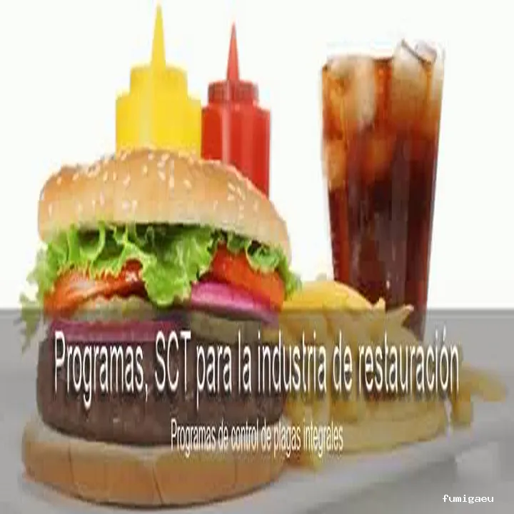 3D Control de plagas Valencia