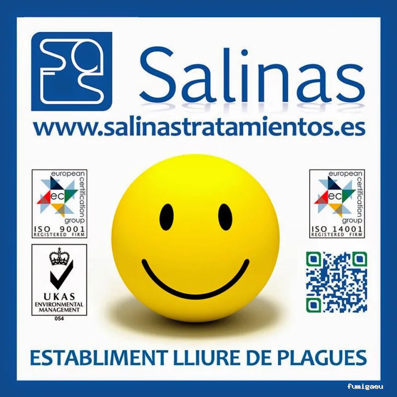 Salinas Tratamientos y Servicios, SL