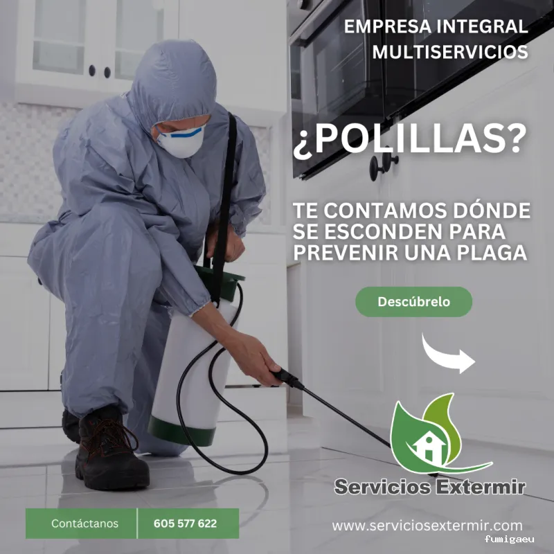 Servicios Extermir | Control de plagas