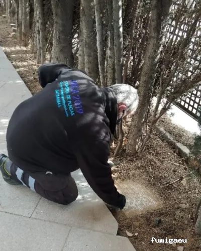 DICA2019 Control de Plagas