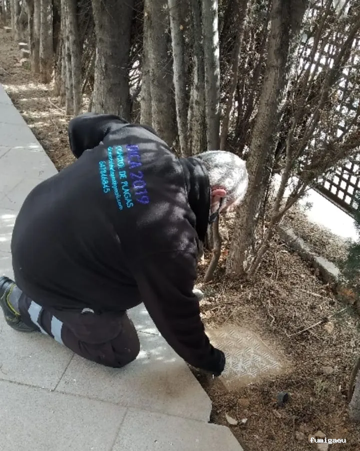 DICA2019 Control de Plagas