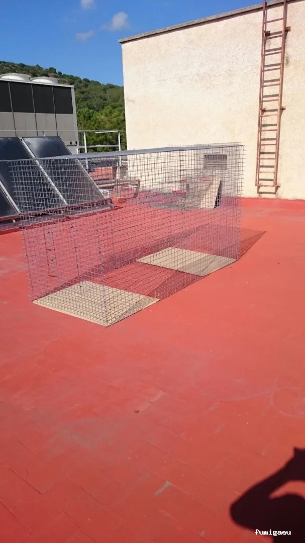 BSCP BARCELONA SEGURIDAD Y CONTROL DE PLAGAS