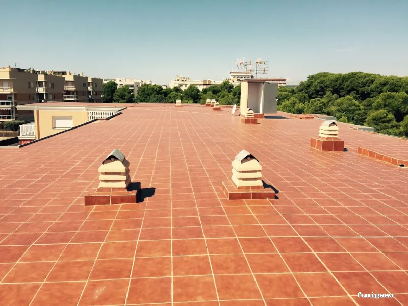 BSCP BARCELONA SEGURIDAD Y CONTROL DE PLAGAS