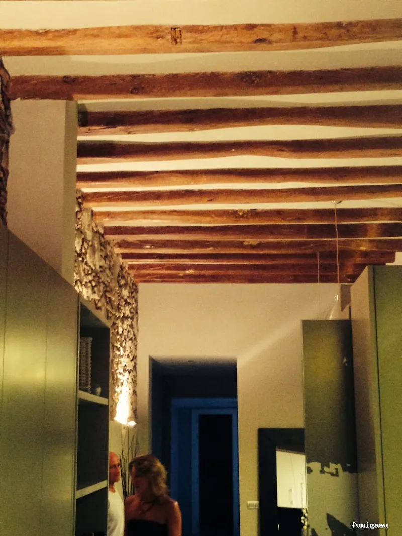 BSCP BARCELONA SEGURIDAD Y CONTROL DE PLAGAS