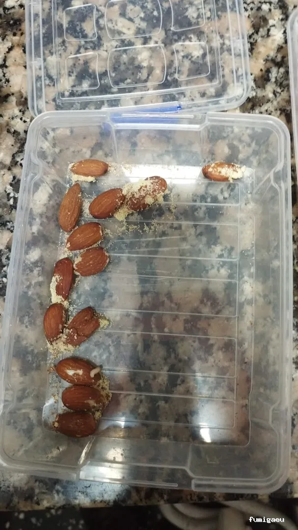 BSCP BARCELONA SEGURIDAD Y CONTROL DE PLAGAS