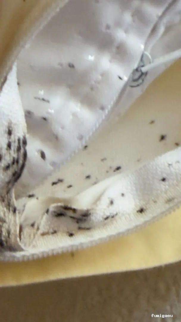 BSCP BARCELONA SEGURIDAD Y CONTROL DE PLAGAS