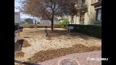 Seyma Endoterapia vegetal