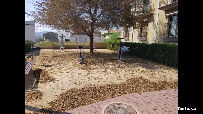 Seyma Endoterapia vegetal