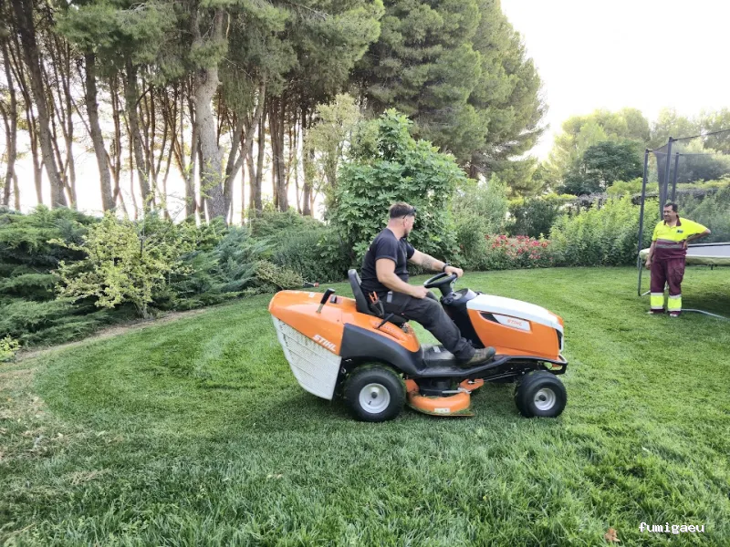 Seyma Endoterapia vegetal