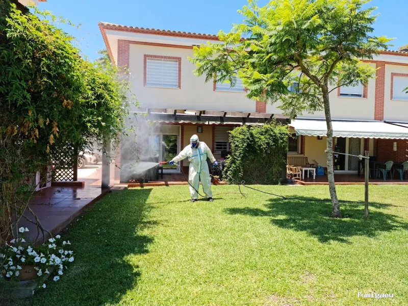 Seyma Endoterapia vegetal