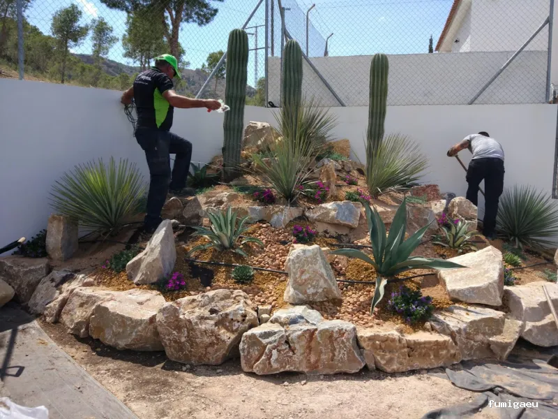 Seyma Endoterapia vegetal