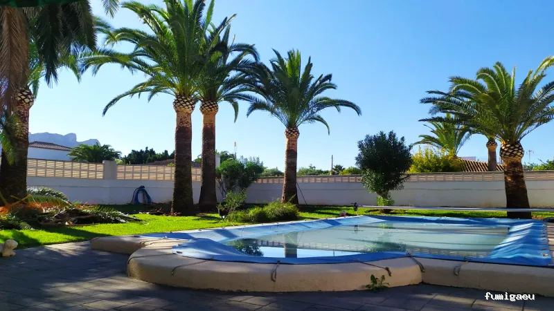 Seyma Endoterapia vegetal