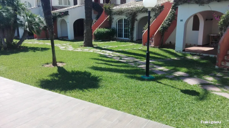 Seyma Endoterapia vegetal