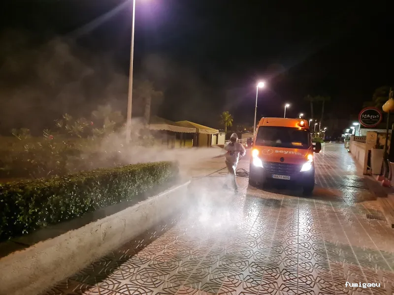 Seyma Endoterapia vegetal