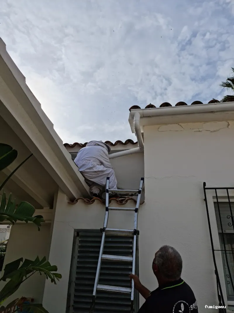 Seyma Endoterapia vegetal