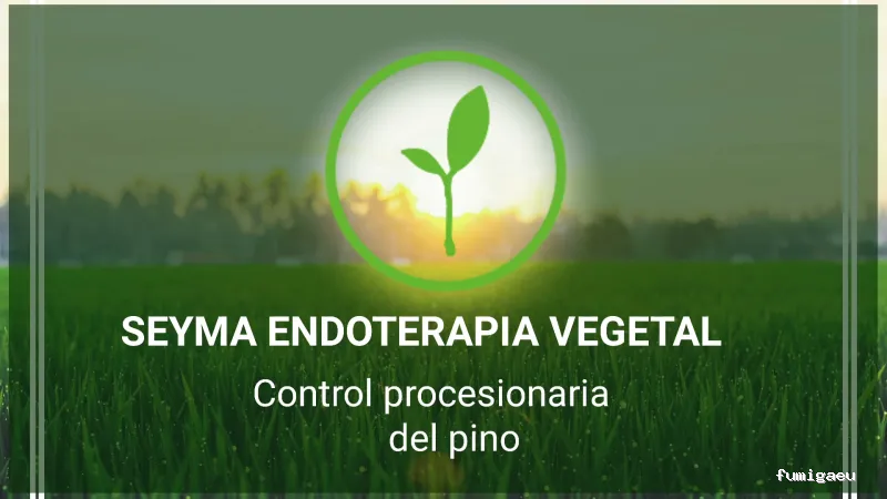 Seyma Endoterapia vegetal