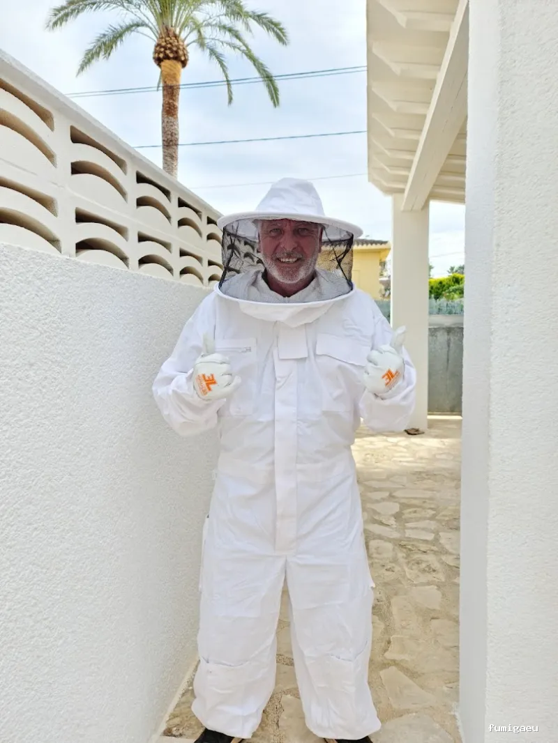 Seyma Endoterapia vegetal