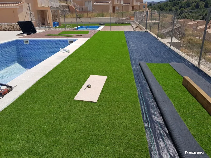 Seyma Endoterapia vegetal