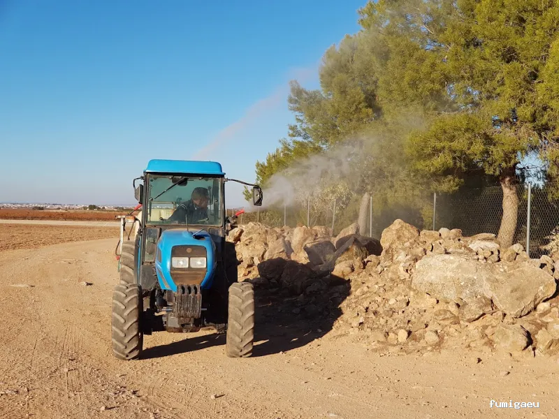 Seyma Endoterapia vegetal