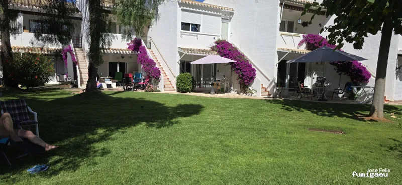 Seyma Endoterapia vegetal