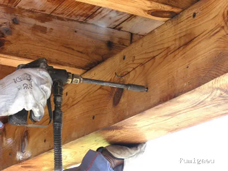 Destari control de plagas