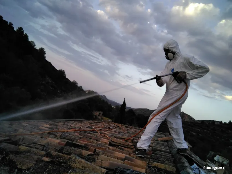 Destari control de plagas