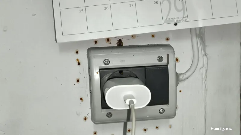 E-control Plagas Zaragoza Desinfecciones