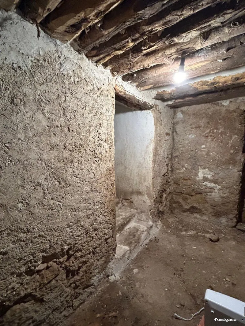 E-control Plagas Zaragoza Desinfecciones