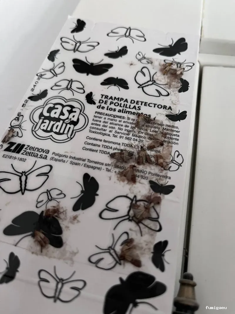 E-control Plagas Zaragoza Desinfecciones