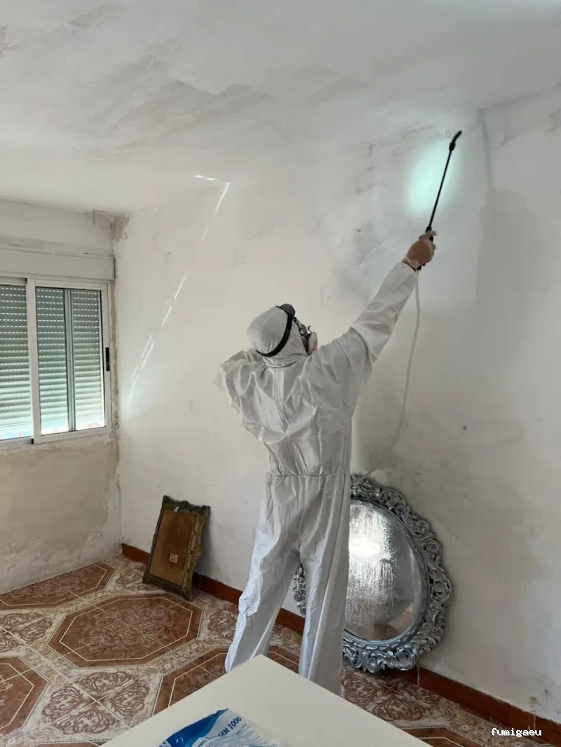 E-control Plagas Zaragoza Desinfecciones