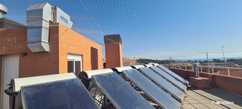 ECOBIOCEN Control de Plagas y Legionela, Cucarachas Termitas Tarragona Ecobiocen