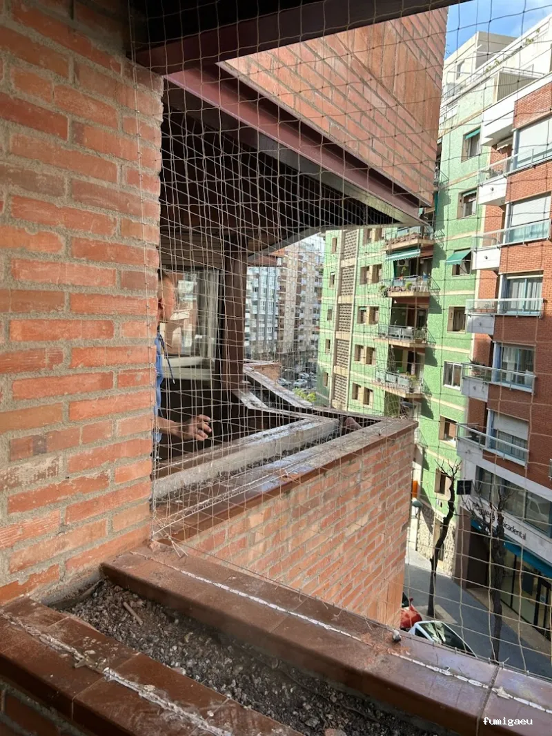 ECOBIOCEN Control de Plagas y Legionela, Cucarachas Termitas Tarragona Ecobiocen