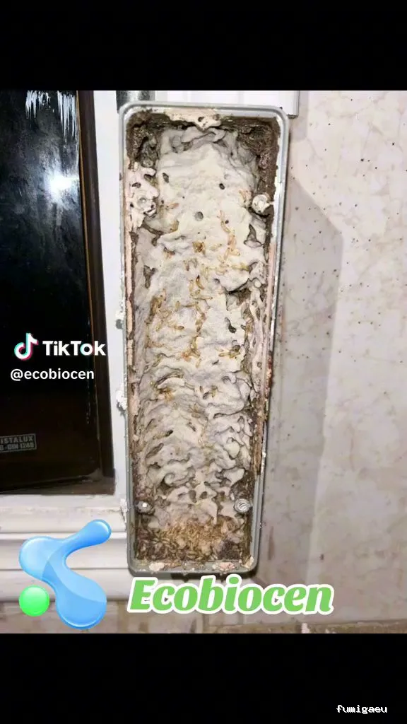 ECOBIOCEN Control de Plagas y Legionela, Cucarachas Termitas Tarragona Ecobiocen