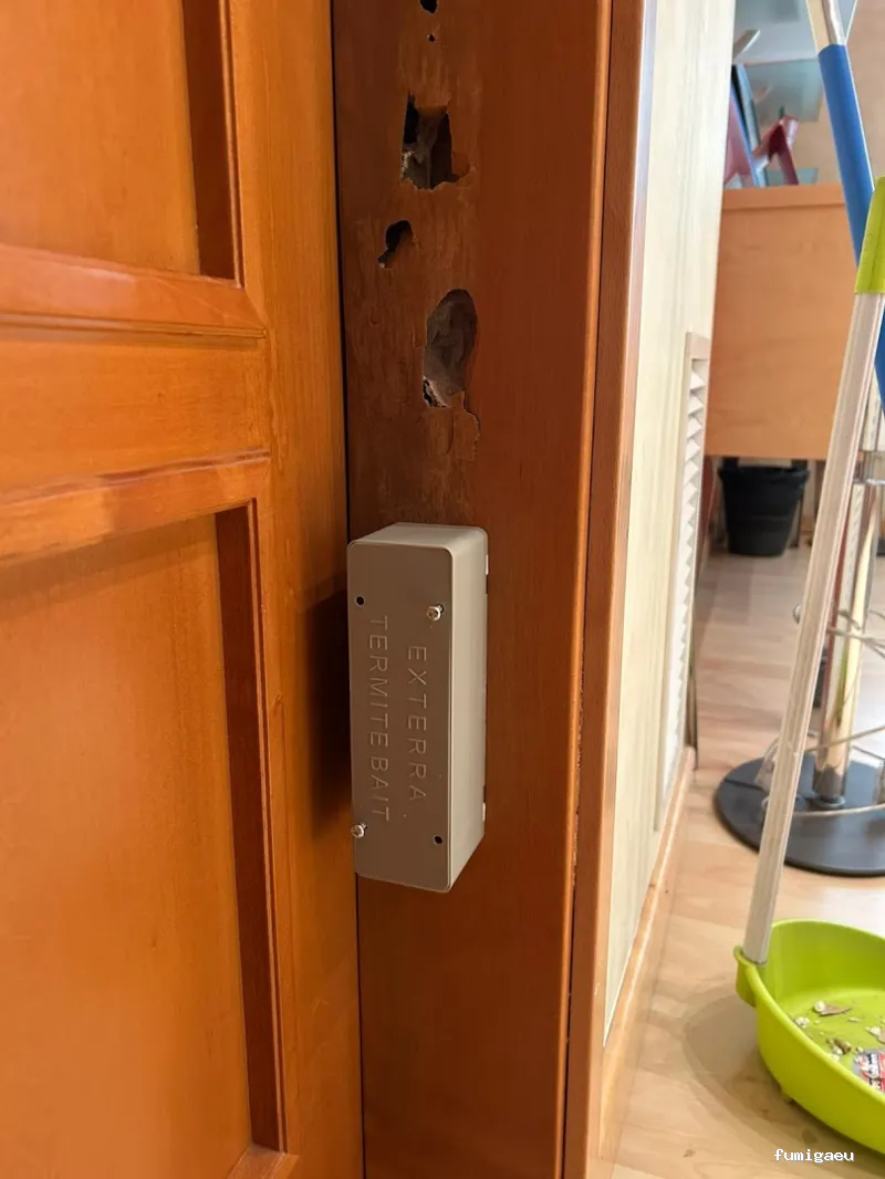 ECOBIOCEN Control de Plagas y Legionela, Cucarachas Termitas Tarragona Ecobiocen