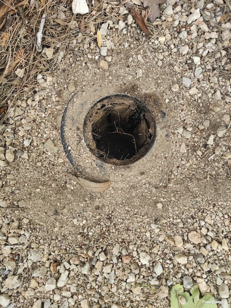 ECOBIOCEN Control de Plagas y Legionela, Cucarachas Termitas Tarragona Ecobiocen