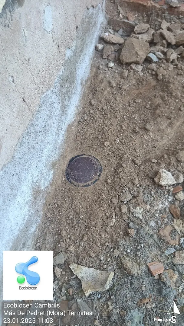 ECOBIOCEN Control de Plagas y Legionela, Cucarachas Termitas Tarragona Ecobiocen