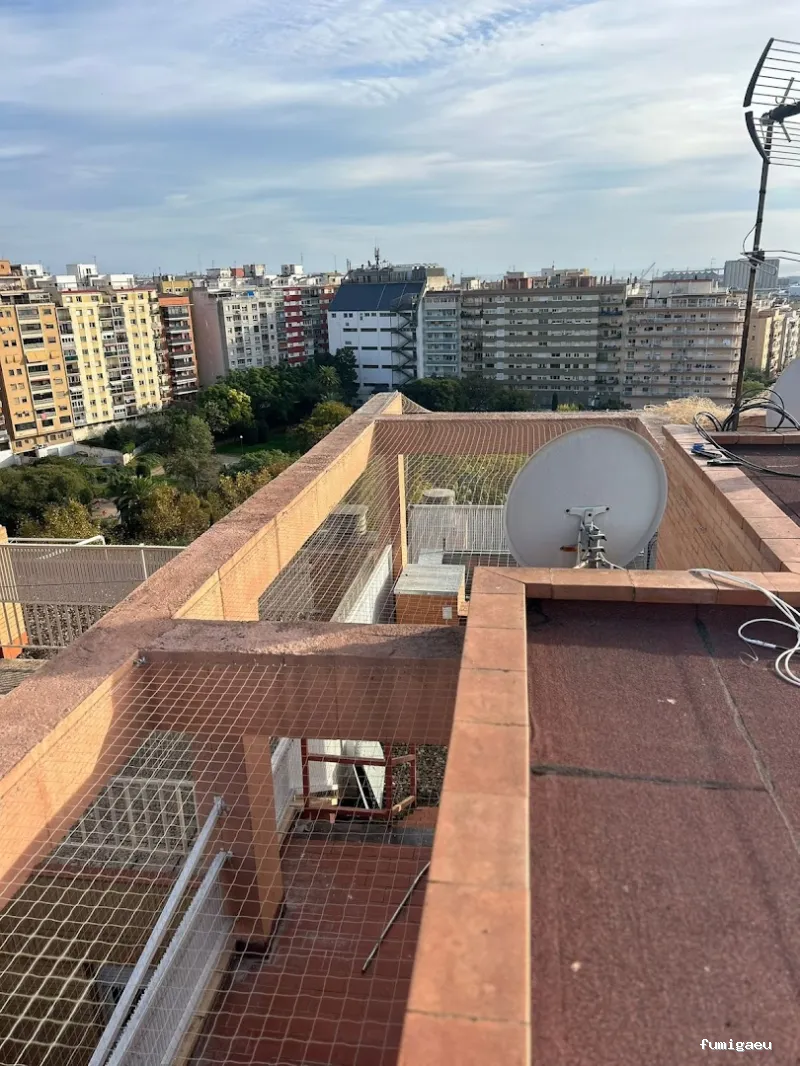 ECOBIOCEN Control de Plagas y Legionela, Cucarachas Termitas Tarragona Ecobiocen
