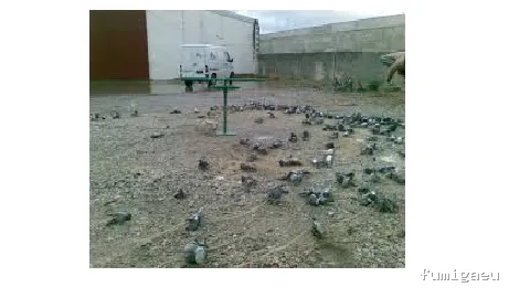 Desinfecciones Eibar