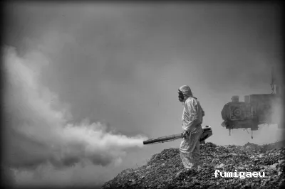 CPD Plagas - Control de Plagas y Termitas